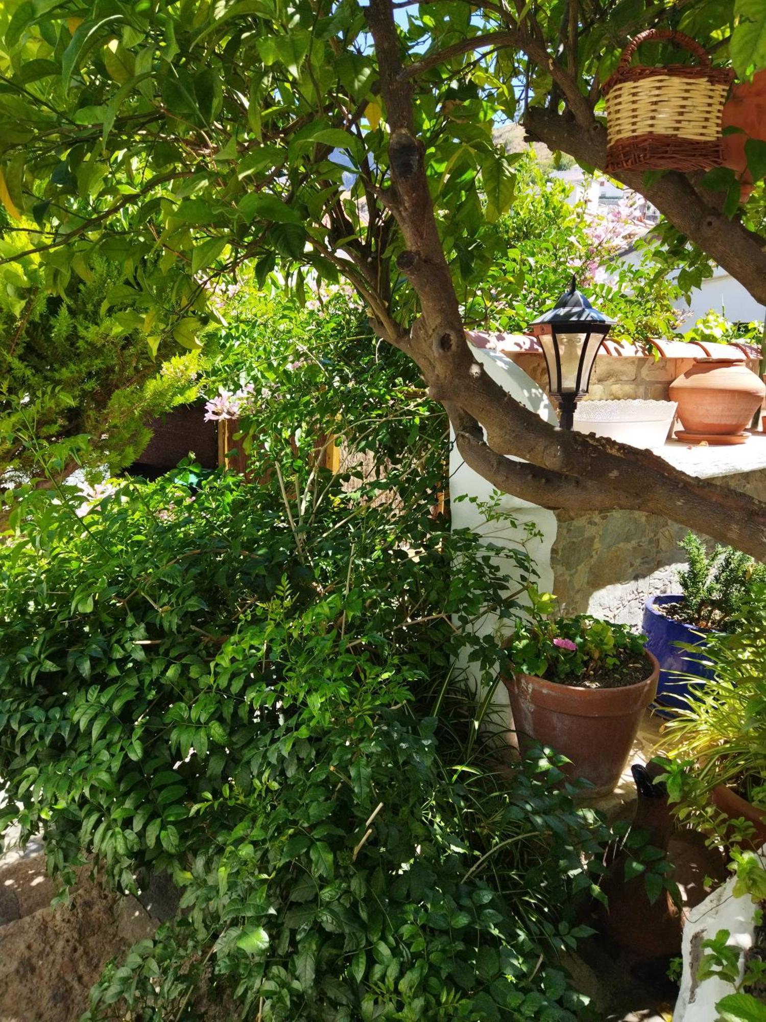 Casa Santana Segura Guest House Tejeda  Room photo