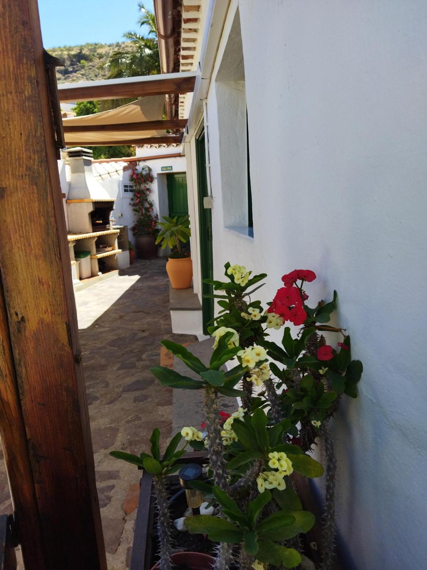 Casa Santana Segura Guest House Tejeda  Room photo