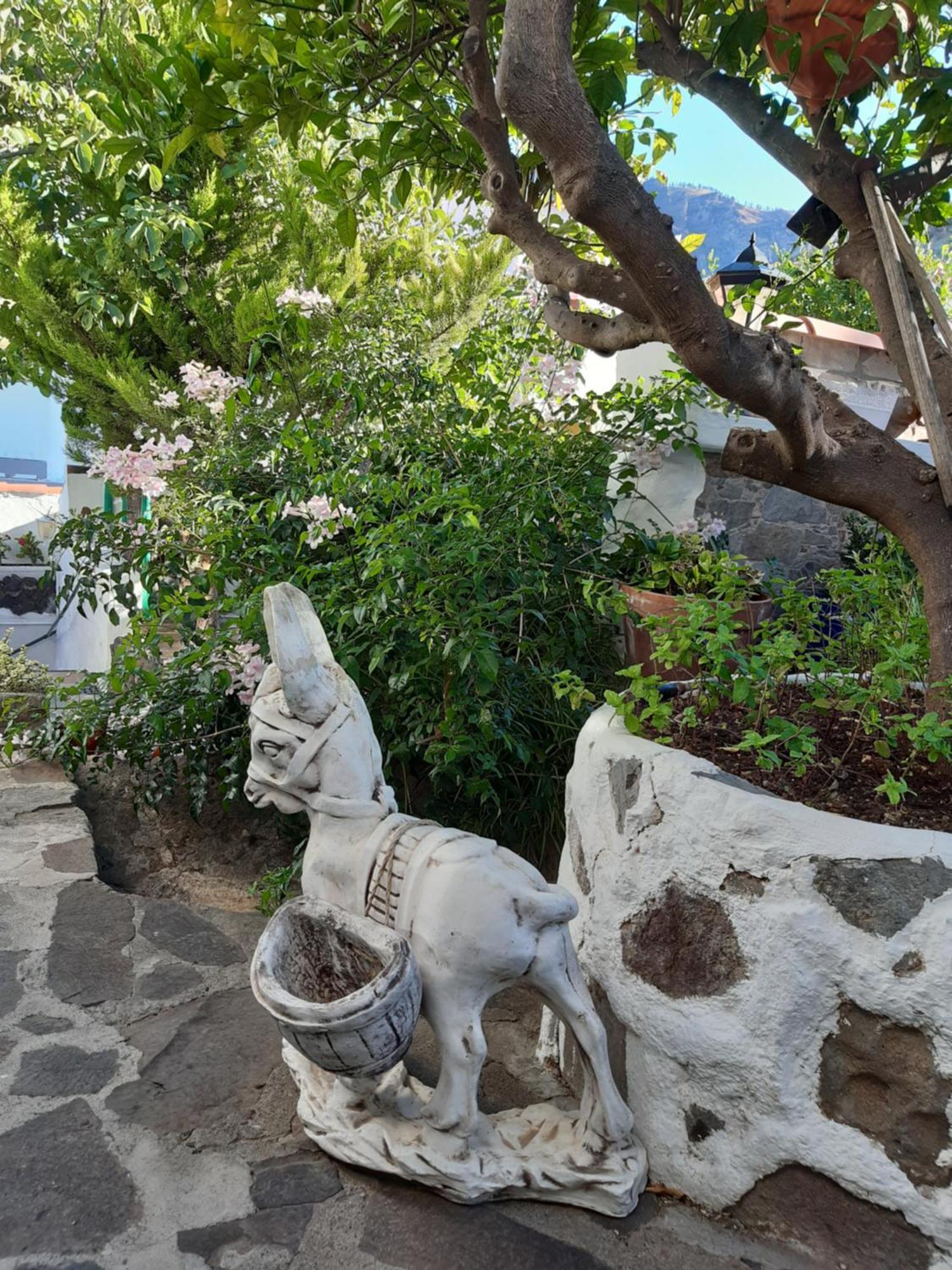 Casa Santana Segura Guest House Tejeda  Room photo