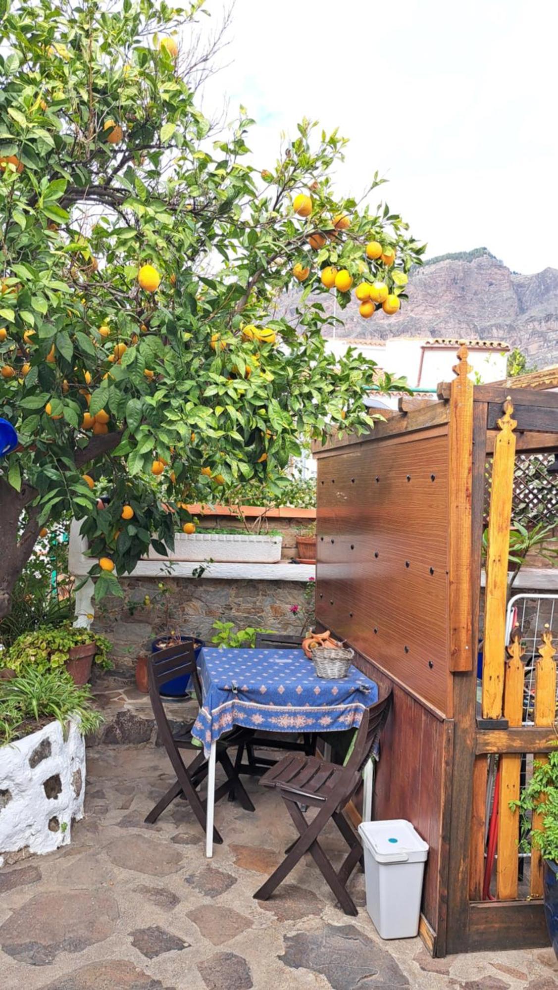 Casa Santana Segura Guest House Tejeda  Room photo